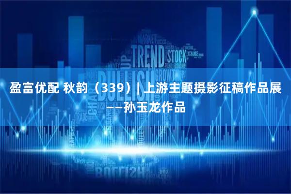 盈富优配 秋韵（339）| 上游主题摄影征稿作品展——孙玉龙作品