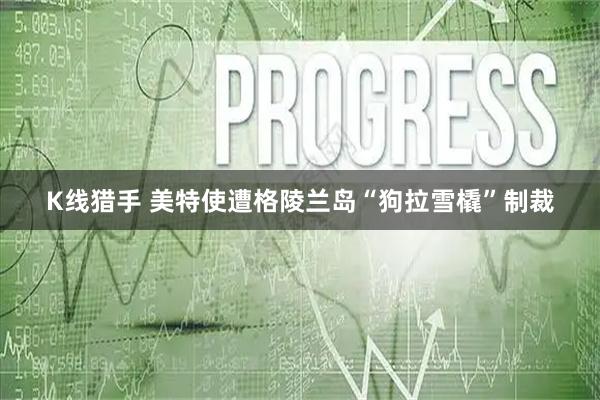 K线猎手 美特使遭格陵兰岛“狗拉雪橇”制裁